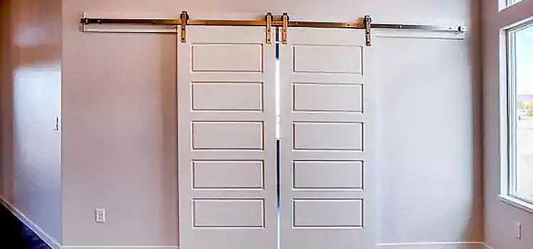 Glass Barn Door with Installation Hardware Kit Lawrenceville