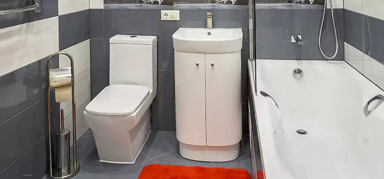 Hansgrohe Shaving Mirror Lawrenceville
